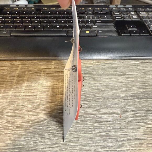 Branch Alley Coral Handmade Dangle Earrings NWT - Picture 3 of 7